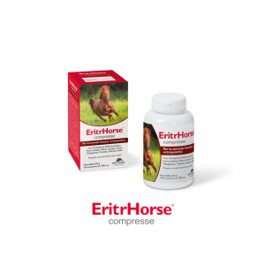 EritrHorse Compresse