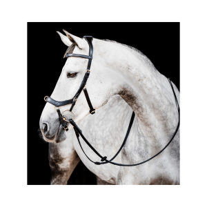 Testiera RAMBO Micklem Multibridle