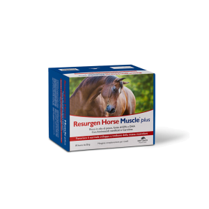 Resurgen Horse Muscle plus – 20 buste